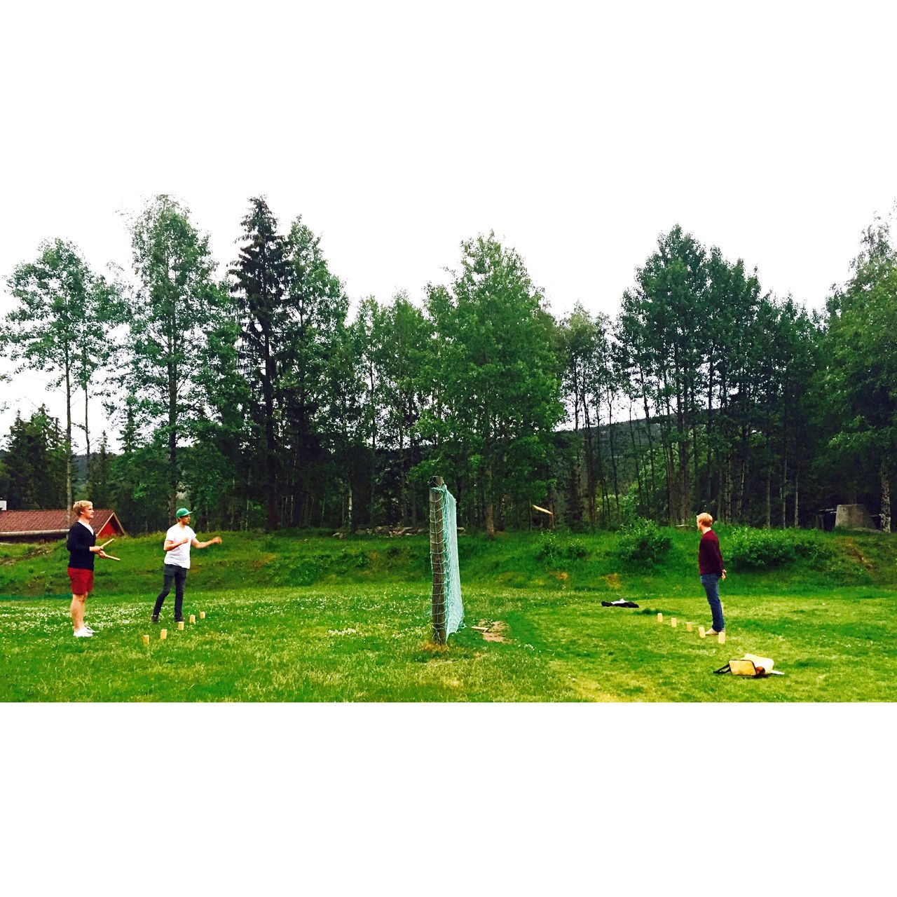 grass, tree, leisure activity, field, lifestyles, grassy, men, green color, full length, clear sky, person, park - man made space, childhood, walking, boys, playing, girls, growth, landscape