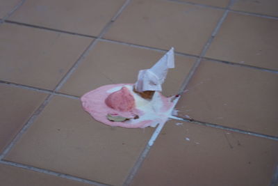 High angle view of pink flower on floor