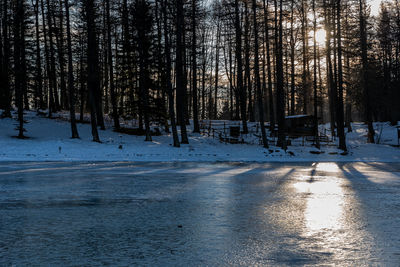 Frozen 
frozen lake