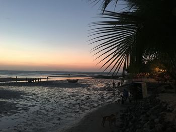 Scenic view of beach during sunset