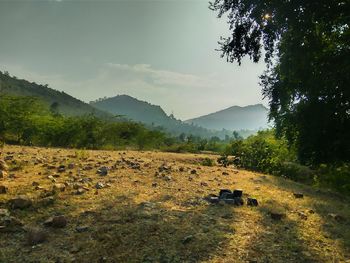 View of horse on field by mountain against sky