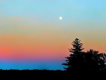 Silhouette tree against sky during sunset