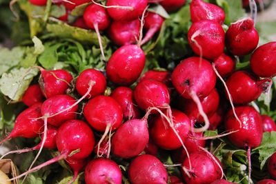 Close-up of strawberries