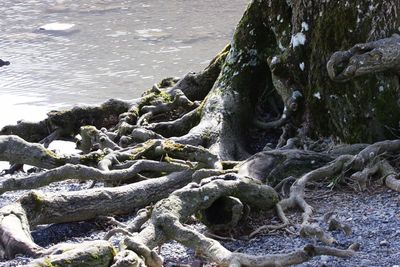 Close-up of rocks in water