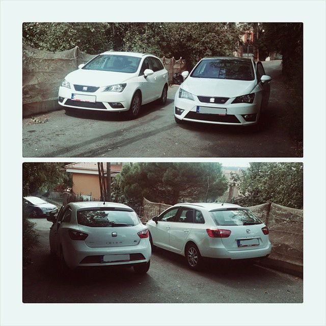 Ibiza6j