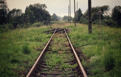 Railroad track amidst trees against sky