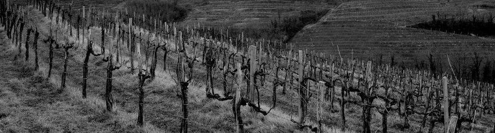 Full frame shot of land