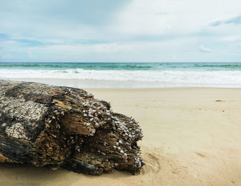 Scenic view of rocks on beach against sky