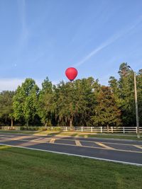 Hot air balloons flying in sky