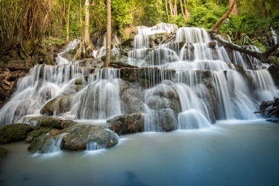 Scenic view of waterfall in forest