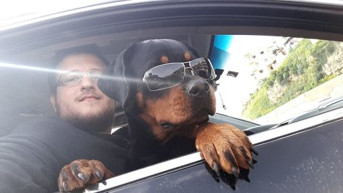 Close-up of man in car