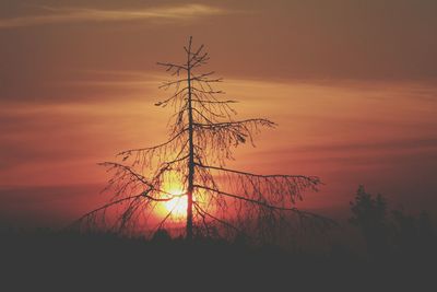 Scenic view of landscape against sky during sunset