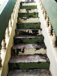 Low angle view of staircase