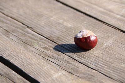 Chestnut on a wooden table
