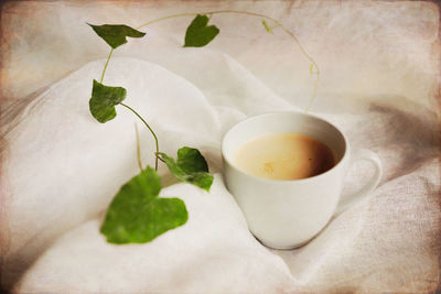 Close-up of tea served on table