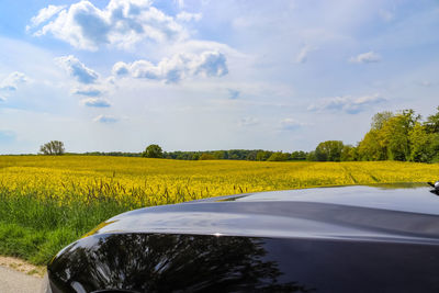 Scenic view of field against sky