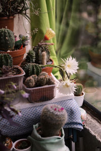 Close-up of food on table