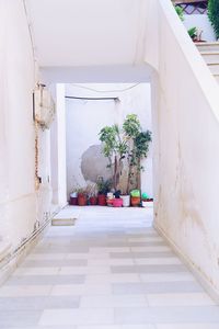 Corridor of building with colorful plant pots at the end by the white wall 