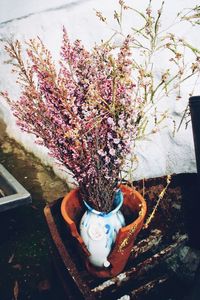 High angle view of flowering plant