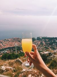 Cropped hand of woman holding mimosa against city by sea