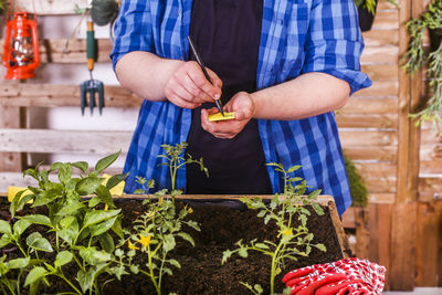 Midsection of man holding ice cream at potted plant