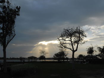 Silhouette trees against sky during sunset