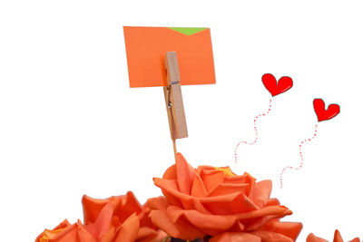 Close-up of red roses against white background