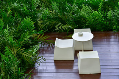 Close-up of potted plant on table