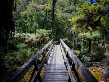 Footbridge in forest