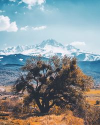 Scenic view of snowcapped mountains by sea against sky