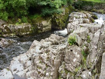 Scenic view of waterfall