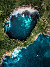 High angle view of bird on rock in sea