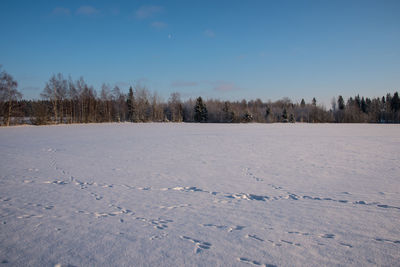 Scenic view of landscape against clear blue sky