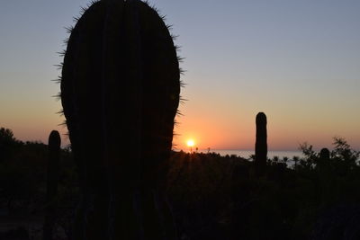 Silhouette of cactus against clear sky during sunset