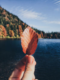 Close-up of hand holding autumn leaf against sky