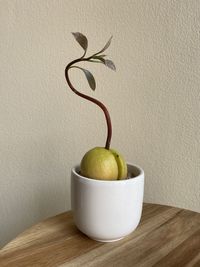 Close-up of fruits in bowl on table against wall