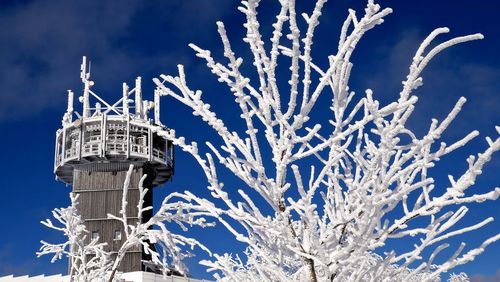 Low angle view of snow covered bare tree by tower against sky
