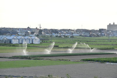 Scenic view of field against clear sky