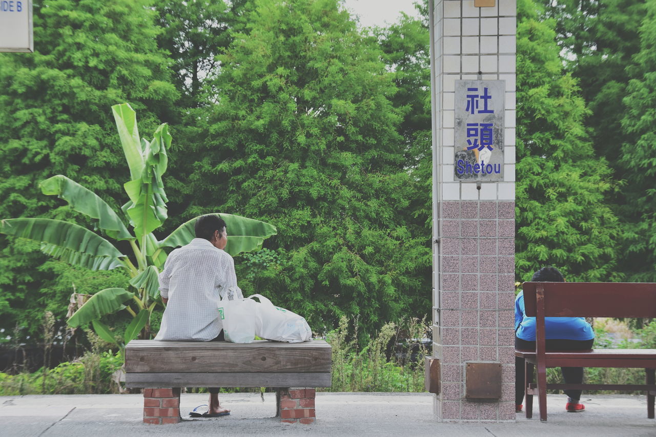 real people, sitting, tree, rear view, day, lifestyles, men, one person, outdoors, full length, relaxation, nature, leisure activity, growth, young adult, people