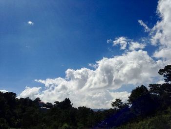 Scenic view of forest against blue sky