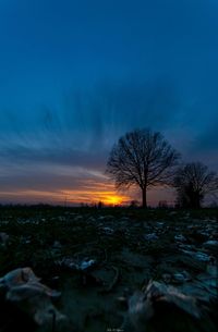 Silhouette bare trees on field against sky during sunset