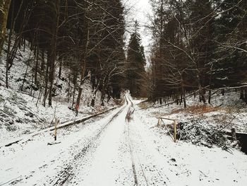 Tire tracks on snow covered road