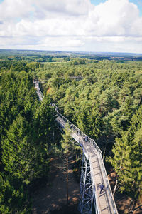 High angle view of road amidst plants against sky