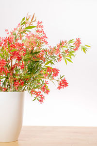 Close-up of flower vase against white background