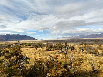 Scenic view of field against sky