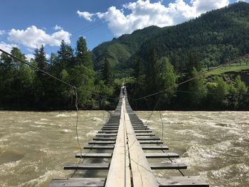 Footbridge amidst trees in forest against sky