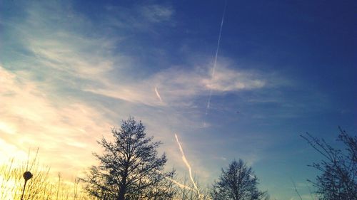 Low angle view of bare trees against cloudy sky