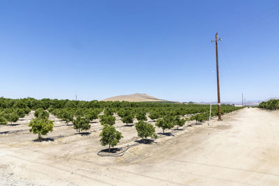 Scenic view of desert against clear blue sky