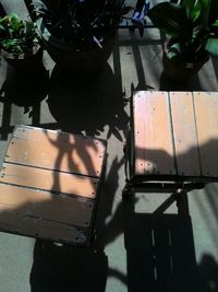 shadow
