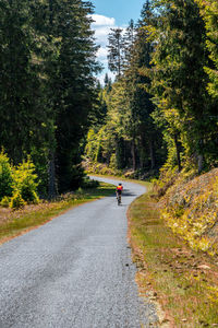 Man riding bicycle on road in forest